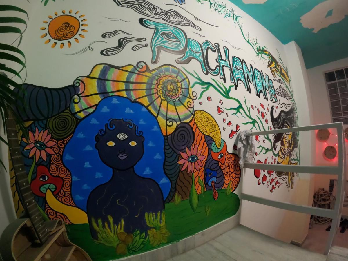 Pachamama Hostel Jaipur